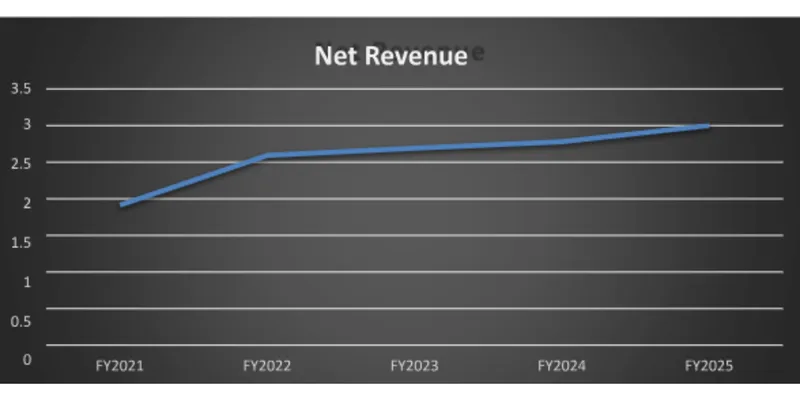 Financial Performance (FY2025 vs FY2024):